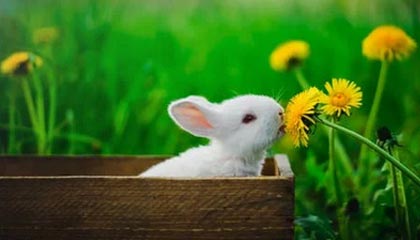 登录入口-曼联官方回顾曼市德比：客场2-1战胜曼城